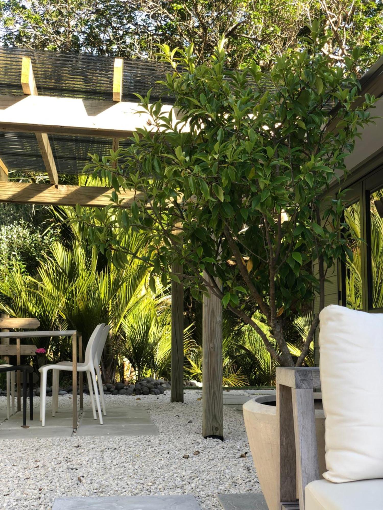 Villetta - Matakana Boutique Luxury Accommodation Dış mekan fotoğraf
