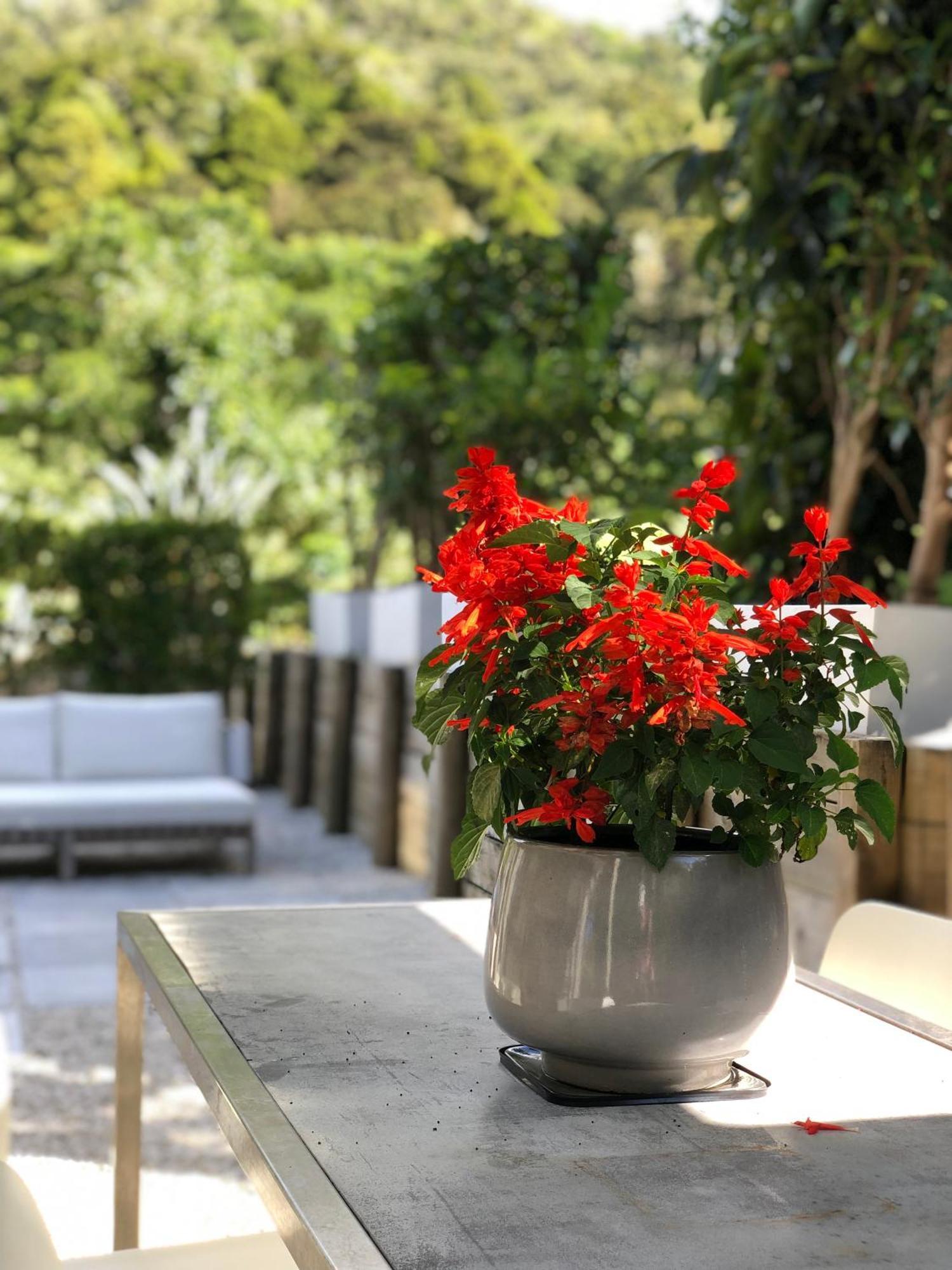 Villetta - Matakana Boutique Luxury Accommodation Dış mekan fotoğraf